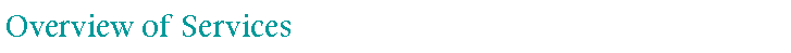 Text Box: Overview of Services